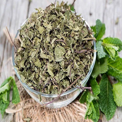 Dried Mint Leaves